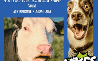Shocked look on cow and dog: Yikes! EEOC lawsuits up 52% because people suck!